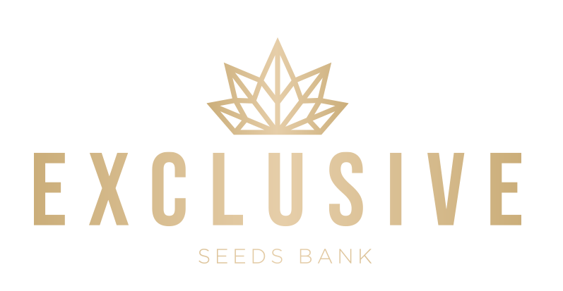 logo logo exclusive seeds